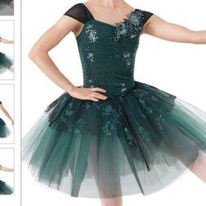 Beautiful dance costume